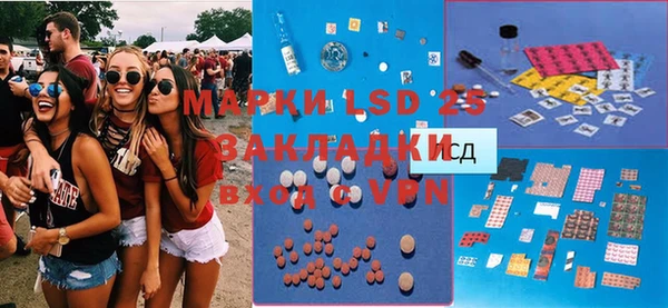 ПСИЛОЦИБИНОВЫЕ ГРИБЫ Алзамай