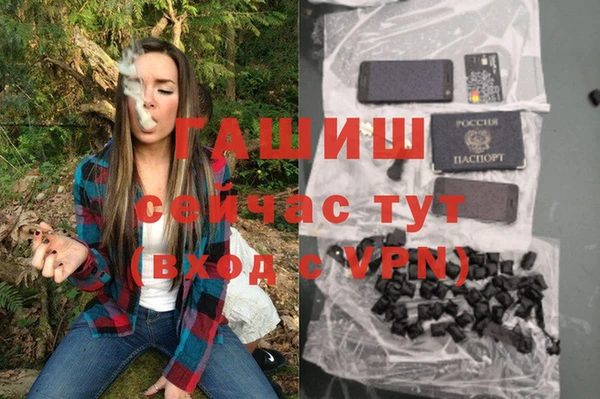 ПСИЛОЦИБИНОВЫЕ ГРИБЫ Алзамай