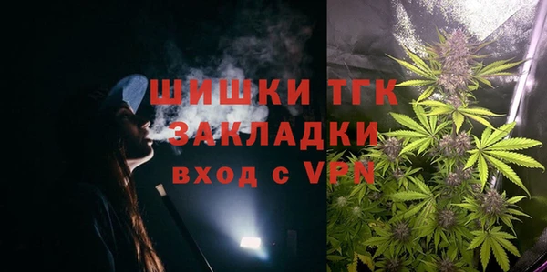 ПСИЛОЦИБИНОВЫЕ ГРИБЫ Алзамай