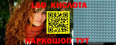 наркотики Сланцы