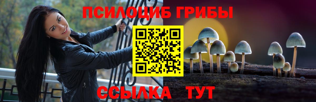 Галлюциногенные грибы GOLDEN TEACHER Тихвин